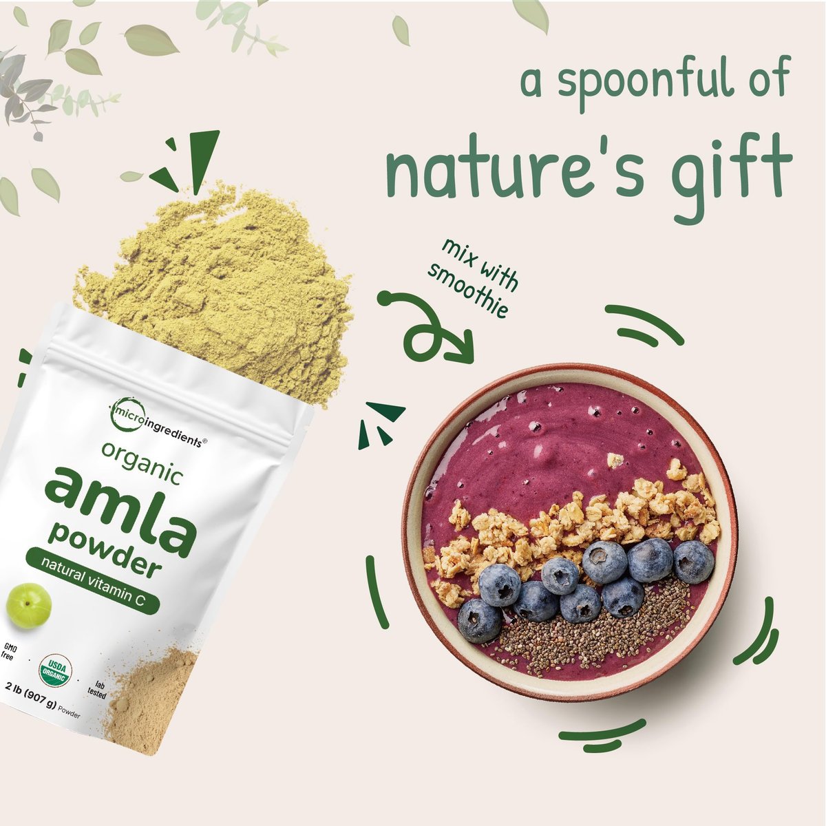 Micro Ingredients Organic Amla Powder (Amalaki) | 32oz, India Origin Gooseberry Powder | Rich in Vitamin C, Antioxidants, Supports Immune, Digestive & Skin Health, Non-GMO, Vegan & Keto Friendly - görsel 4