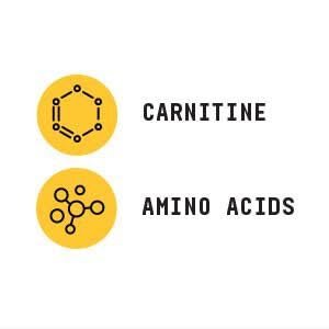 BEYOND RAW Chemistry Labs L-Carnitine Powder, Fuels Exercise and Supports Recovery, 30 Servings - görsel 7