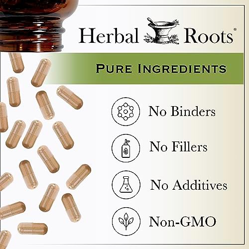 Herbal Roots Oil of Oregano - Made from Mediterranean Oregano Oil - 90 Easy to Swallow Softgel Capsules - Extra Strength 150mg - görsel 3