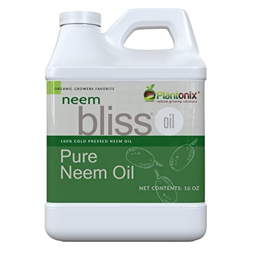 Neem Bliss (16 Fl Oz) - Pure Neem Oil Concentrate - 100% Cold Pressed Neem Oil - All-Natural Neem Oil Concentrate - Pure Neem Oil Extract - Unrefined Neem Oil for Hair - Neem Seed Oil Concentrate - görsel 2