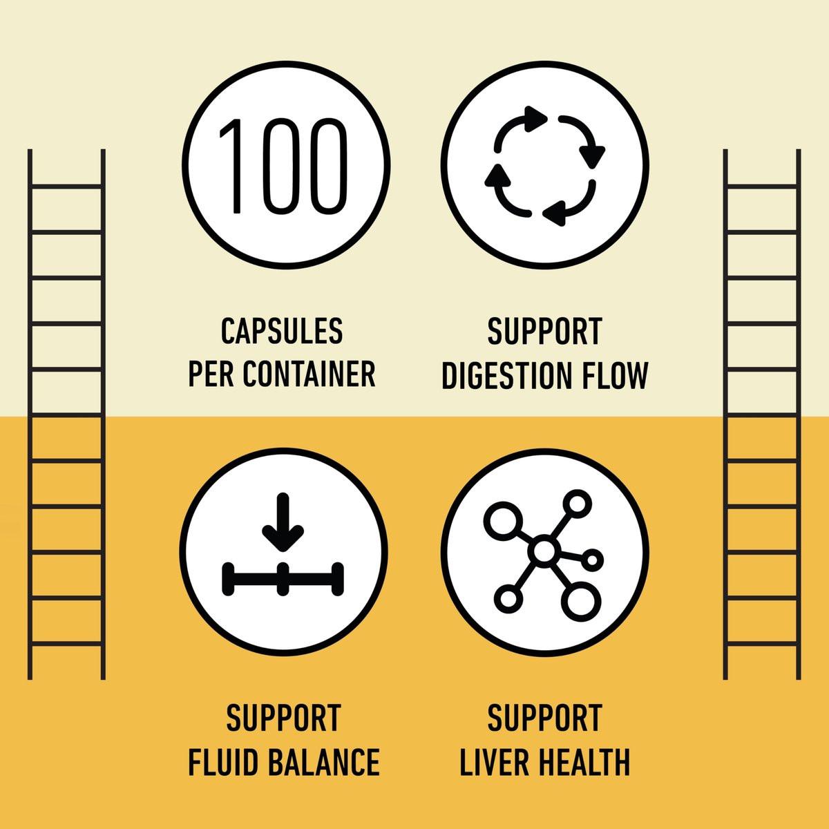 Organic Dandelion Root Capsules 600mg - Dandelion Supplement Pills, Herbal Root Support for Liver Detox, Digestive Cleanse Aid, Vegan Plant Based Formula, Non GMO, No Fillers, Gluten Free, Made in USA - görsel 1