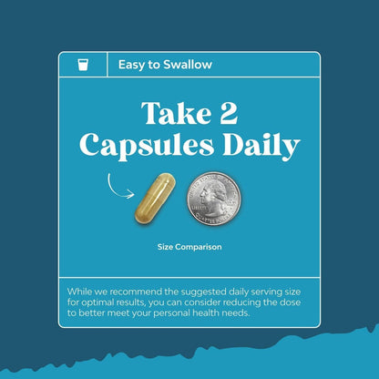 Nootropic Brain Supplement for Memory and – 90-Count Supply: Convenient one-month supply with a simple – Image 17