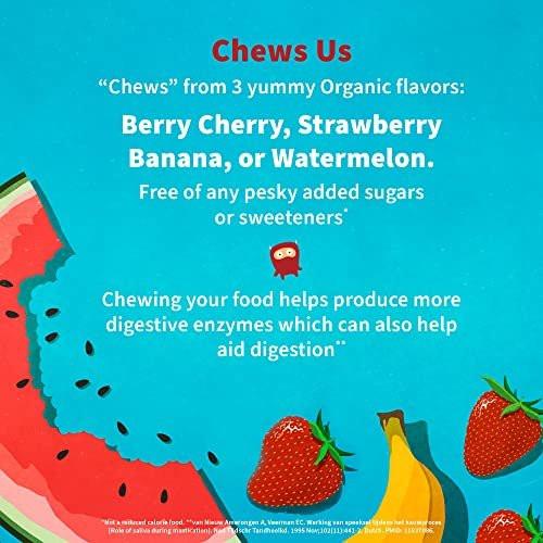 Garden of Life Dr. Formulated Probiotics Organic Kids+ plus Vitamin C & D - Berry Cherry - Gluten, Dairy & Soy Free Immune & Digestive Health Supplement, No Added Sugar, 30 Chewables (Shelf Stable) - görsel 4