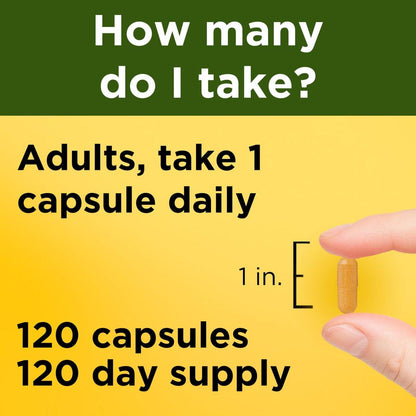 Nature Made Turmeric Curcumin 500 mg, Turmeric Curcumin Supplement for Antioxidant Support, Herbal Supplements, 120 Capsules, 120 Day Supply