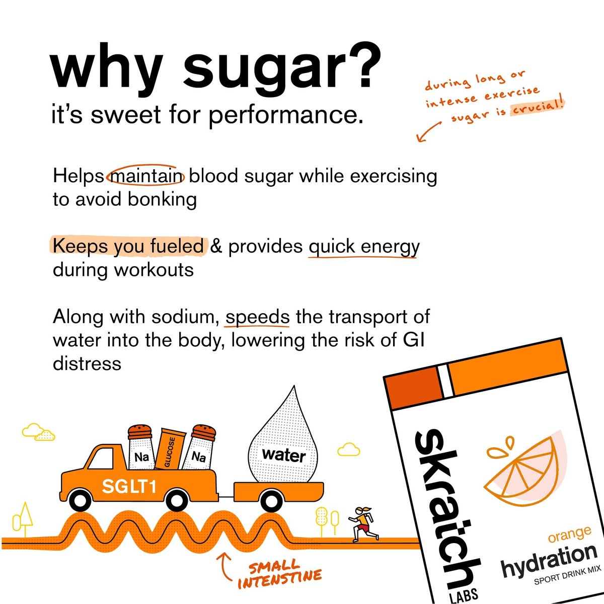 Skratch Labs Hydration Sports Drink Mix – – Real-Fruit Electrolytes : Derived from real fruit sources, the – Image 1