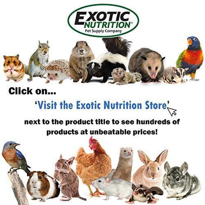 Squirrel-Cal 3.5 oz. - Ultra-fine Powdered Calcium Supplement - for Pet Squirrels
