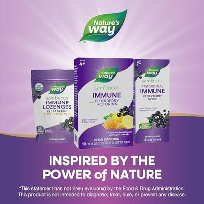 Nature's Way Sambucus Elderberry Hot Drink Mix with Vitamin C and Echinacea, Immune Support*, Honey Lemon-Berry Flavored, 10 Packets (Packaging May Vary)