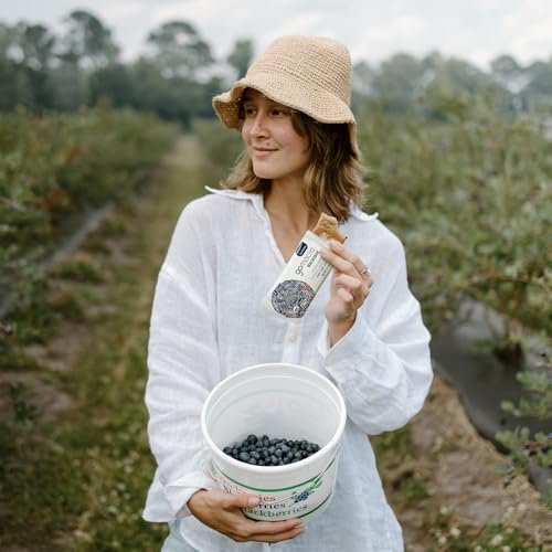 GoMacro Macrobar Organic Vegan Protein Bars - Blueberry + Cashew Butter (2.3 Ounce Bars, Pack of 12) - görsel 2