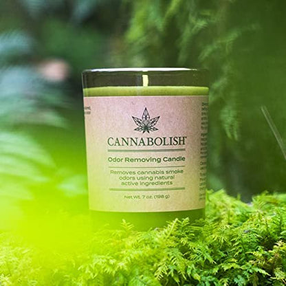Cannabolish Smoke Odor Eliminating Candle, 7 oz, Natural Ingredients, Wintergreen Scent