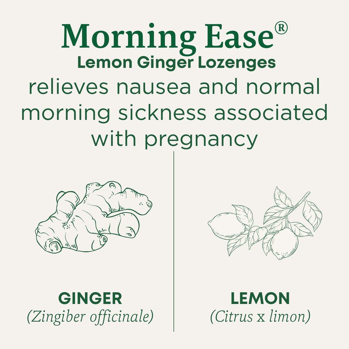 Traditional Medicinals Organic Morning Ease Lozenges, Lemon Ginger - Supports Pregnancy Nausea Relief & Morning Sickness - 30 Individually Wrapped Lozenges - görsel 4