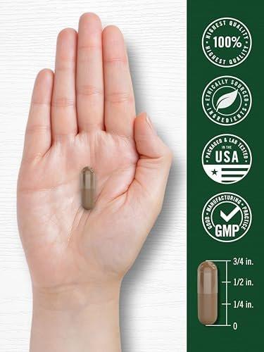 Carlyle Valerian Root Extract Supplement | 240 Capsules | Traditional Herbal Formula | Non-GMO & Gluten Free - görsel 8