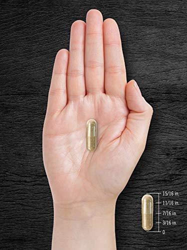 Carlyle Pygeum Africanum Bark | 200 Capsules | High Potency Extract | Non-GMO, Gluten Free Supplement - görsel 4