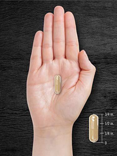 Carlyle Pygeum Supplement | 240 Capsules | Non-GMO, Gluten Free | Africanum Bark Extract Supplement