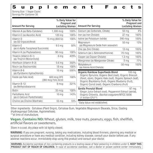 Rainbow Light Prenatal Multivitamin One + for Women | 30 Caplets | Essential Nutrition for Mom & Baby | Real Food Nutrients | with Iron, Vitamins, Folate, Biotin and More - görsel 3