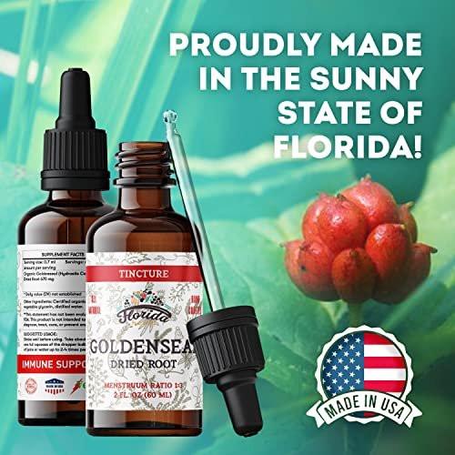 FLORIDA HERBS Goldenseal Tincture 2 oz – Organic Herbal Extract | Alcohol Free | Vegan Herbal Drops - Made in USA - görsel 1