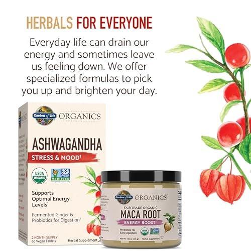 Garden of Life Organics Fair Trade Gelatinized Peruvian Maca Root Energy Boost 7.93 oz (225g) Powder with Probiotics, Certified Organic, Non-GMO, Vegan & Gluten Free Herbal Supplements - görsel 1