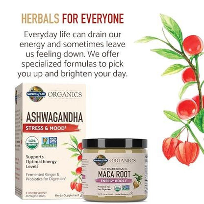 Garden of Life Organics Fair Trade Gelatinized Peruvian Maca Root Energy Boost 7.93 oz (225g) Powder with Probiotics, Certified Organic, Non-GMO, Vegan & Gluten Free Herbal Supplements