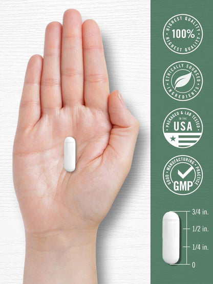 Carlyle Devil's Claw Herbal Supplement | 200 Capsules | Non-GMO & Gluten Free Formula