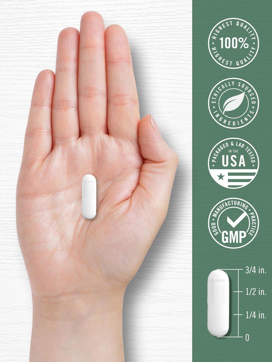Carlyle Devil's Claw Herbal Supplement | 200 Capsules | Non-GMO & Gluten Free Formula - görsel 9