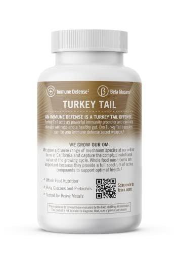 Om Mushroom Superfood Turkey Tail Mushroom Capsules – 90 Count, 30-Day Supply, Immune Support, Polysaccharides, Beta-Glucans, Gut Health & Holistic Defense - görsel 5