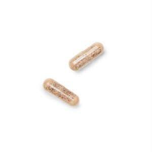 GNC Gentlesorb Iron 18mg Supplement, Supports Healthy Red Blood Cell Formation, 90 Servings