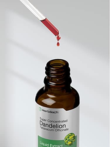 Horbäach Dandelion Root Extract Supplement | 2 fl oz | Super Concentrated | Alcohol Free Liquid Tincture | Vegetarian, Non-GMO, Gluten Free - görsel 2