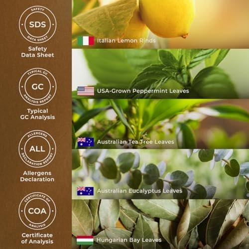 Gya Labs Breathe Essential Oil Blends - 100% Pure Natural Breathe Easy Essential Oils from Eucalyptus, Peppermint and More for Humidifier Cleaner (0.34 Fl Oz) - görsel 12