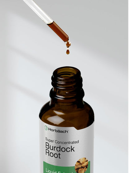 Horbäach Burdock Root Tincture | 2 fl oz | Super Concentrated Herb Extract | Vegetarian, Non-GMO, Gluten Free, Alcohol Free