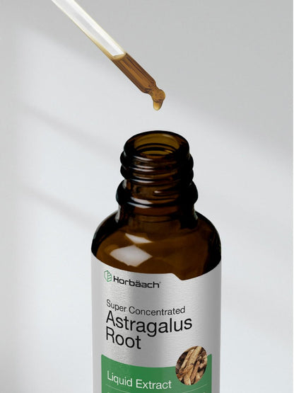 Horbäach Astragalus Root Extract Liquid | 2 fl oz | Alcohol Free Tincture | Super Concentrated | Vegetarian, Non-GMO, Gluten Free Supplement