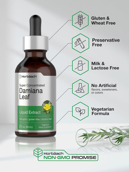 Horbäach Damiana Leaf Herb Tincture | 2 fl oz | Super Concentrated | Alcohol Free Liquid Extract | Vegetarian, Non-GMO & Gluten Free Herbal Supplement