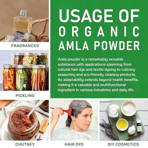 Organic Amla Powder 1.25 LB (20oz) - Pure, Lab Tested, Gluten Free, Non-GMO, Pure Amalaki Powder From India, Vitamin C, Bulk Bag, 100% Raw & Natural - by Jiva Organics - görsel 16