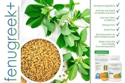 VH Nutrition Fenugreek+ | 1400mg Extra Strength Fenugreek Capsules | Hormonal Balance and Energy Support Supplement for Men & Women | 60 Gluten-Free Capsules