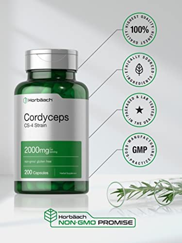 Horbäach Cordyceps Mushroom Capsules | 200 Count | CS-4 Strain | Non-GMO and Gluten Free Herbal Supplement