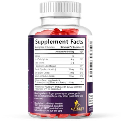 Kids Immune Support Gummies - Vitamin C, Zinc & Echinacea Children's Daily Immune Health Support Gummy Supplement for Ages 4 and Up, Natures Kid's Vitamin C Gluten-Free & Non-GMO, Vegan - 120 Gummies