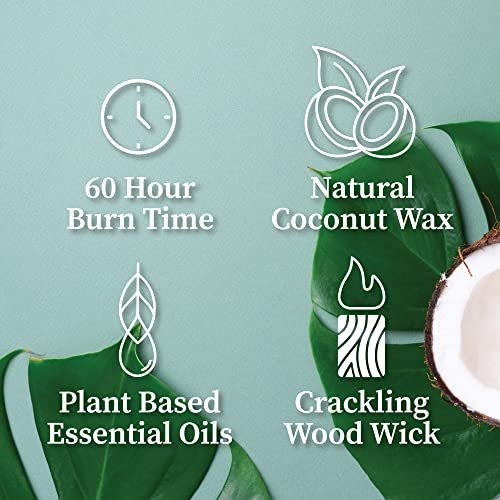Hemlock Park Bergamot Cedar Apothecary – Weight: 1.17 pounds – Image 8