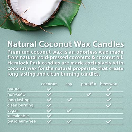 Hemlock Park Bergamot Cedar Apothecary – Hand-Poured Coconut Wax: Made from sustainably sourced coconut wax, this – Image 1