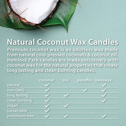 Hemlock Park Bergamot Cedar Apothecary – Hand-Poured Coconut Wax: Made from sustainably sourced coconut wax, this – Image 1