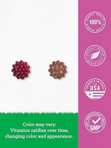 Carlyle Elderberry Gummies for Kids | 120 Count | Zinc and Vitamin C | Berry Flavor | Vegan, Non-GMO, and Gluten Free | by Lil' Sprouts - görsel 2