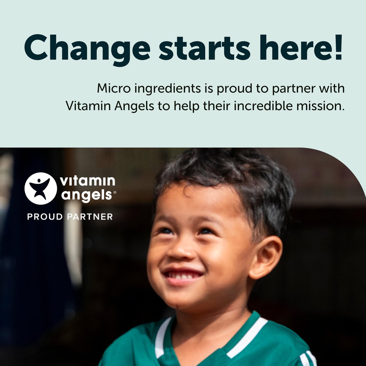 Micro Ingredients Vitamin K2 MK-7 200 mcg Per Serving, 300 Coconut Oil Softgels | K2 Vitamin Supplement with Coconut Oil | Non-GMO - görsel 8