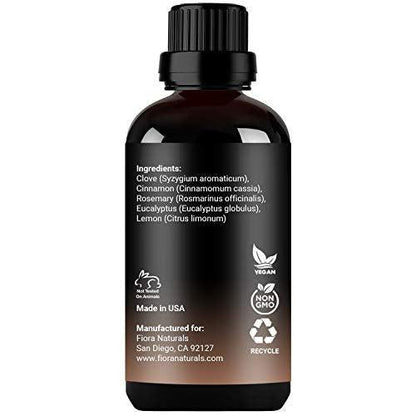 Immunity Essential Oil Blend for Health Shield Aromatherapy with Clove Cinnamon Lemon Rosemary & Eucalyptus Oil - Thieves and Robbers Safeguard Oil - Immune Support Blend - Diffuse or Apply