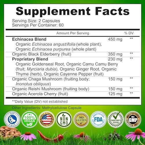Echinacea Goldenseal Capsules - 10 in 1 Immune Support Supplement - 1455mg - Vegan Echinacea Capsules Supplement Made With Organic Whole Foods - Herbal Immune System Support - 2 Month Supply - görsel 2