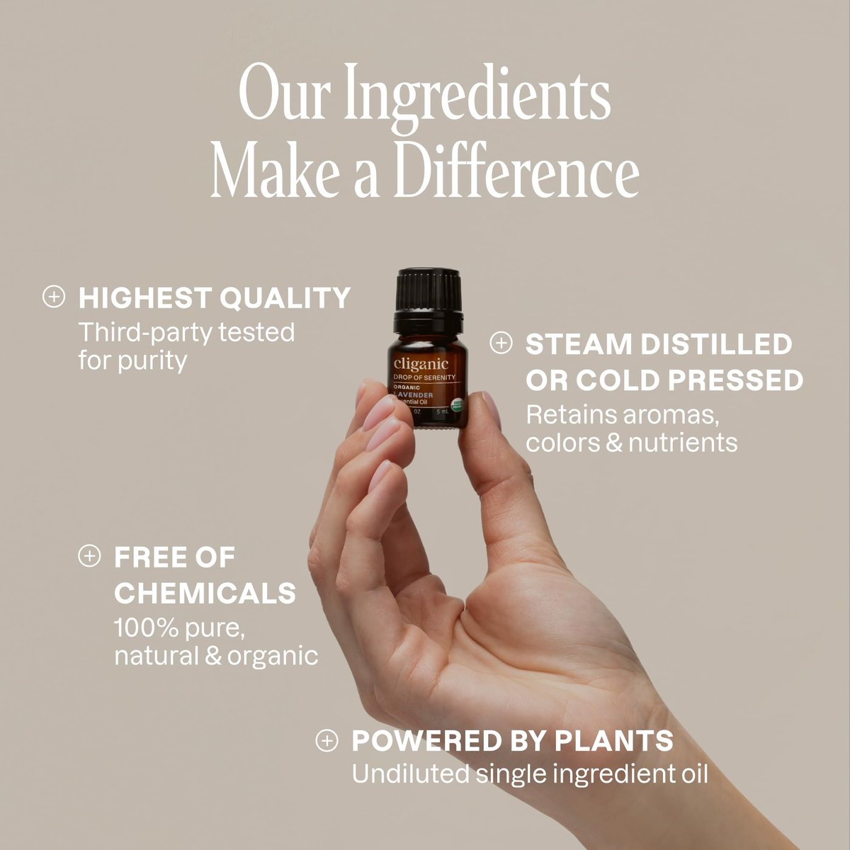 Cliganic Organic Aromatherapy Essential Oils Gift Set (Top 8 - The Iconics), 100% Pure - Peppermint, Lavender, Eucalyptus, Tea Tree, Lemongrass, Rosemary, Frankincense & Orange - görsel 13
