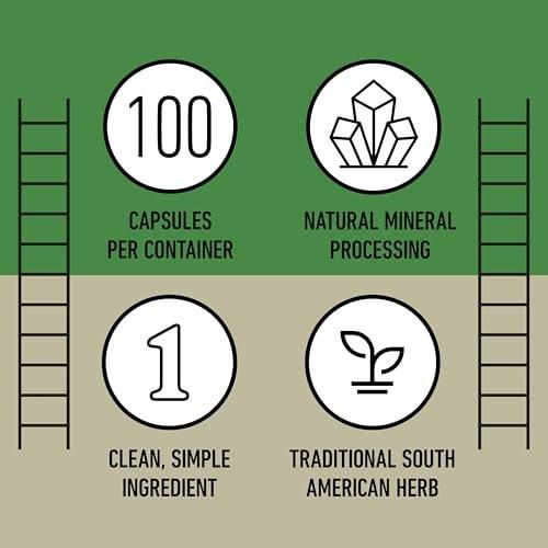 Chanca Piedra Organic Capsules 500mg - Phyllanthus Niruri Stonebreaker Extract, Kidney Gallbladder Liver Support, 100 Chanca Piedra Capsules, Non GMO, Alcohol Free, Vegan Herbal Supplement Made in USA - görsel 16