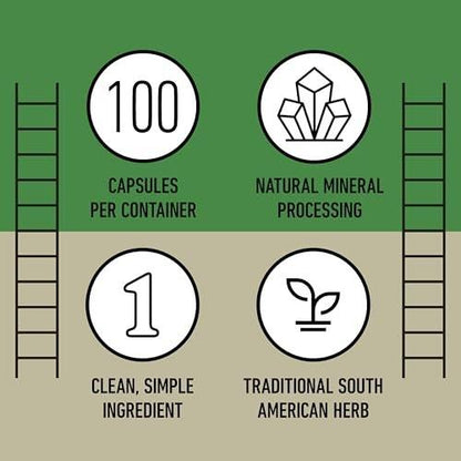Chanca Piedra Organic Capsules 500mg - Phyllanthus Niruri Stonebreaker Extract, Kidney Gallbladder Liver Support, 100 Chanca Piedra Capsules, Non GMO, Alcohol Free, Vegan Herbal Supplement Made in USA
