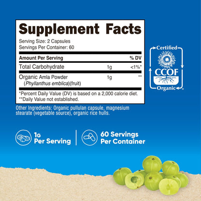 Nutricost Amla 1000mg, 120 Vegetarian – Vegetarian & Gluten-Free: Suitable for vegetarian diets and those with – Image 3