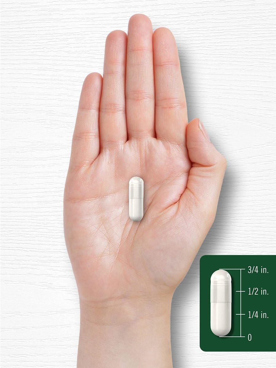 Carlyle Celery Seed Extract Capsules | 240 Count | Traditional Herb Supplement | Non-GMO and Gluten Free Formula - görsel 7