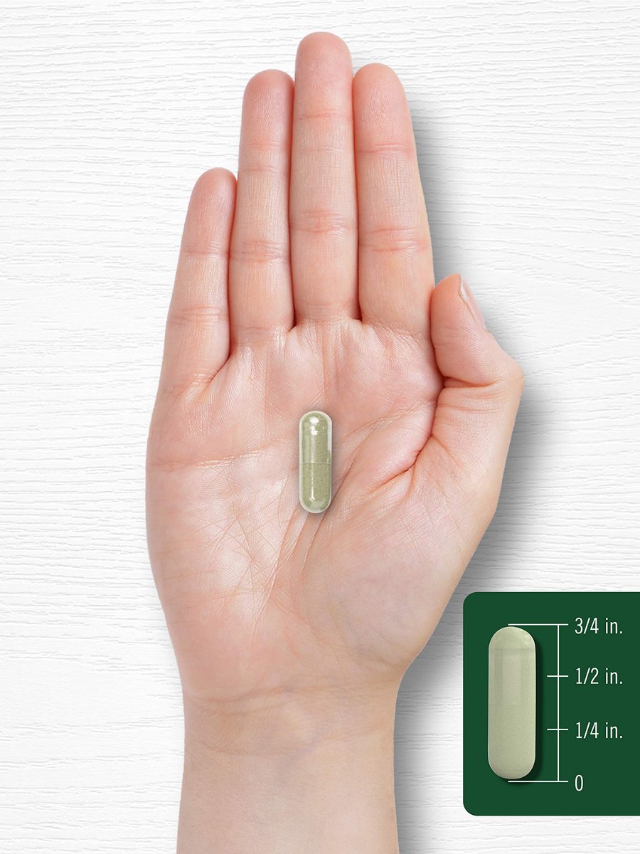 Carlyle Dong Quai Capsules | 250 Count | Non-GMO and Gluten Free Supplement | Traditional Herb - görsel 8