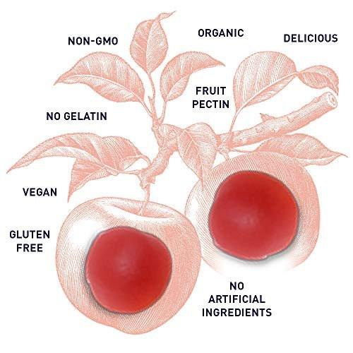 Garden of Life Organics Apple Cider Vinegar Gummies with Vitamin B12 – Organic ACV Gummy Vitamins, Vegan, Gluten-Free, Non-GMO, 60 Gummies - görsel 11