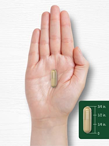 Carlyle Asparagus Supplement | 250 Powder Capsules | Non-GMO and Gluten Free Formula | High Potency Traditional Herb Extract - görsel 3