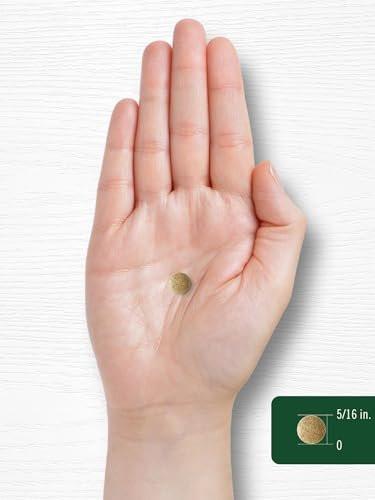 Carlyle Ginkgo Biloba | 400 Tablets | Non-GMO, Gluten Free Herbal Supplement - görsel 3